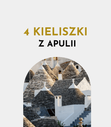 degustacja win włoskich z apulii