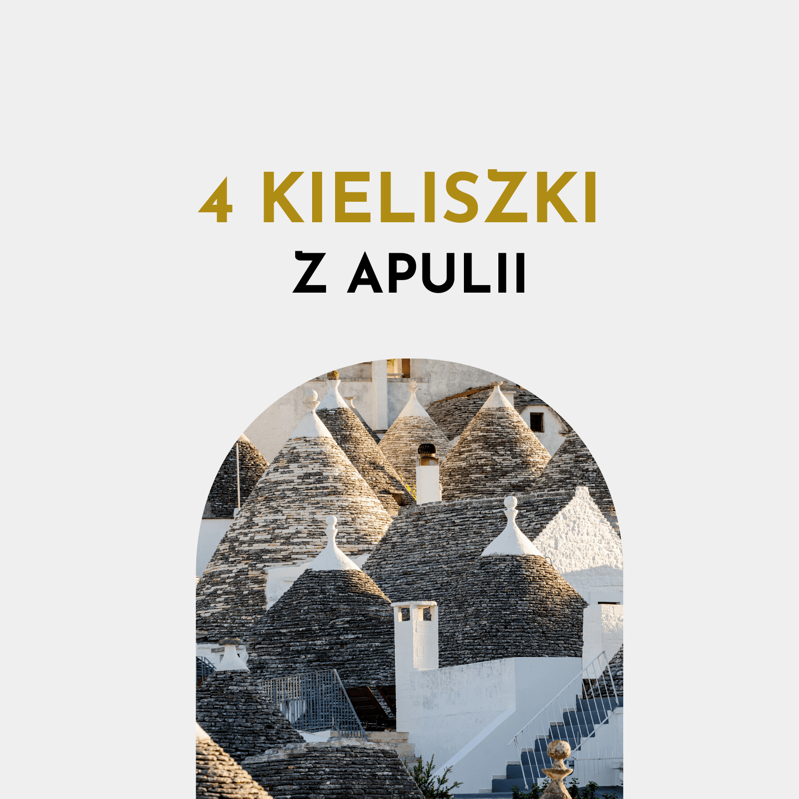 degustacja win włoskich z apulii degustacja win włoskich z apulii