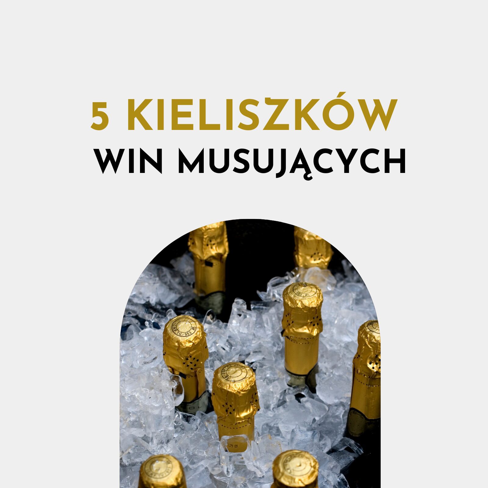 degustacja win musujących degustacja win musujących